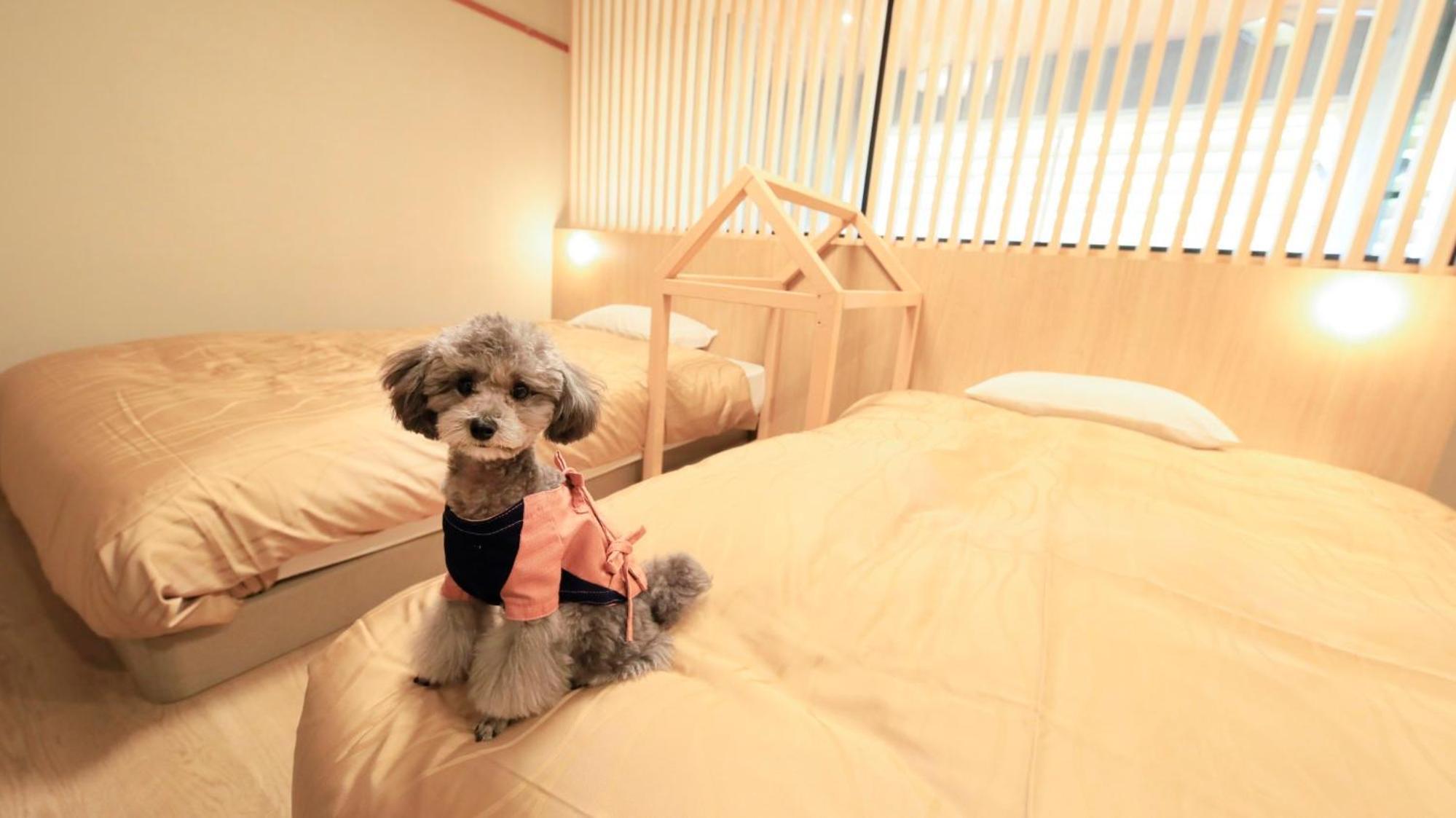 Yururi Nishiizu Hotel Izu  Luaran gambar